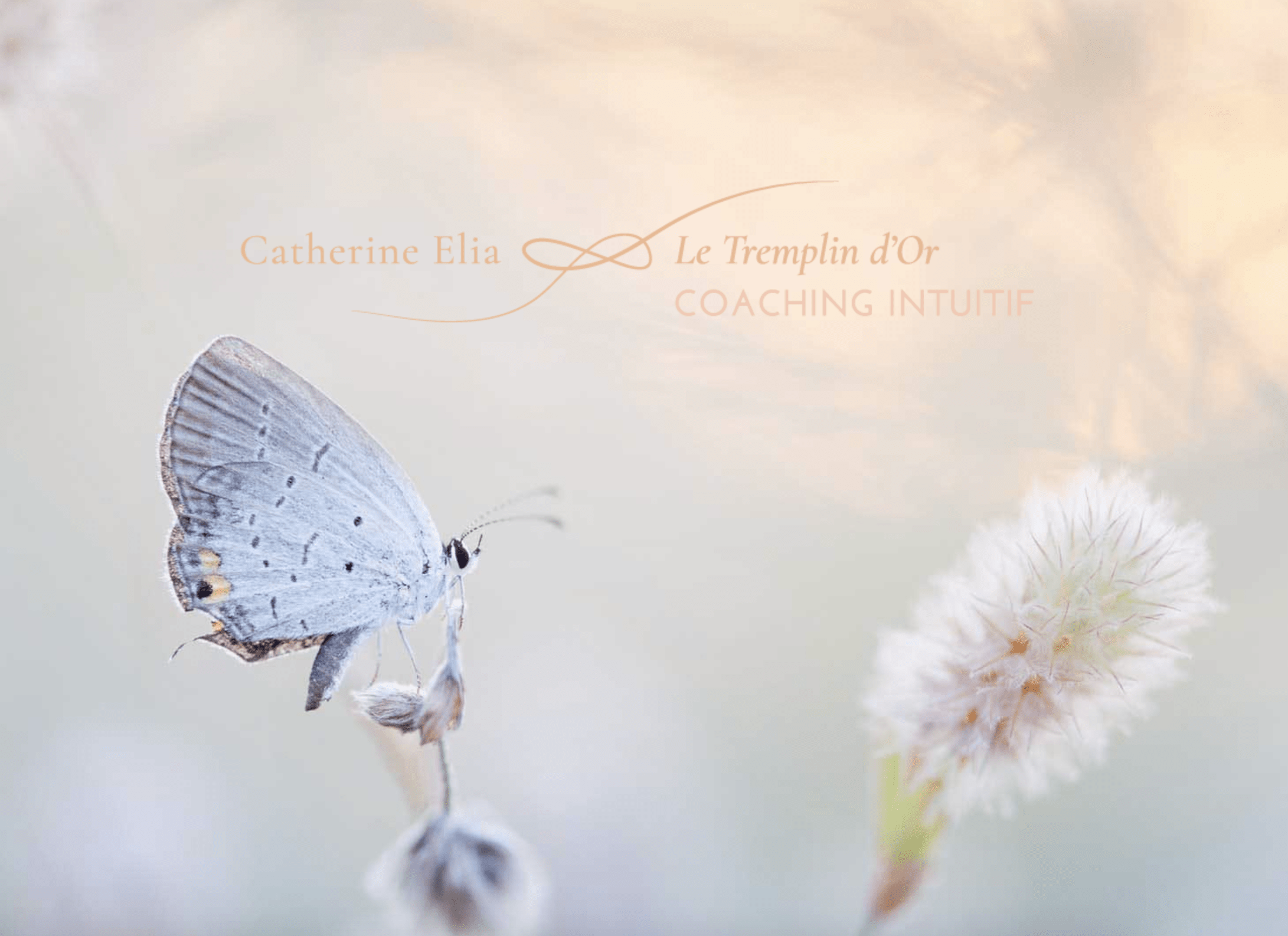 branding-coach-intuitif-therapeute