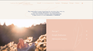 tremplin-d-or-site-web-branding-logo-therapeute