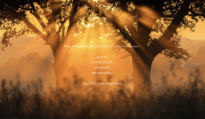 creation-site-portfolio-artiste