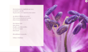 Création de la marque et du site internet d'Oneam, médecine quantique de Céline Bilocq et Mathieu Longuet, réalisée par Inspir Communication et Anaïs bénéthuilière